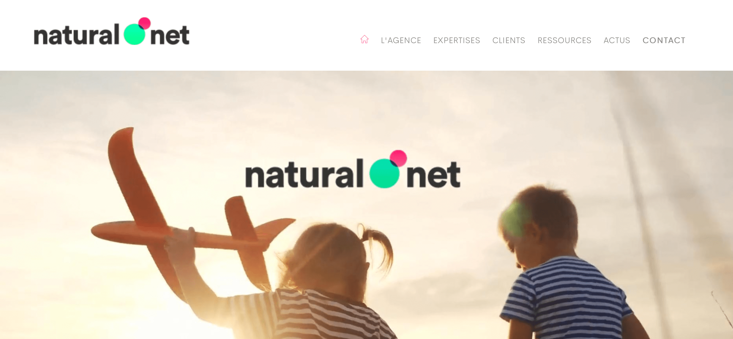 agence natural net stratégie web