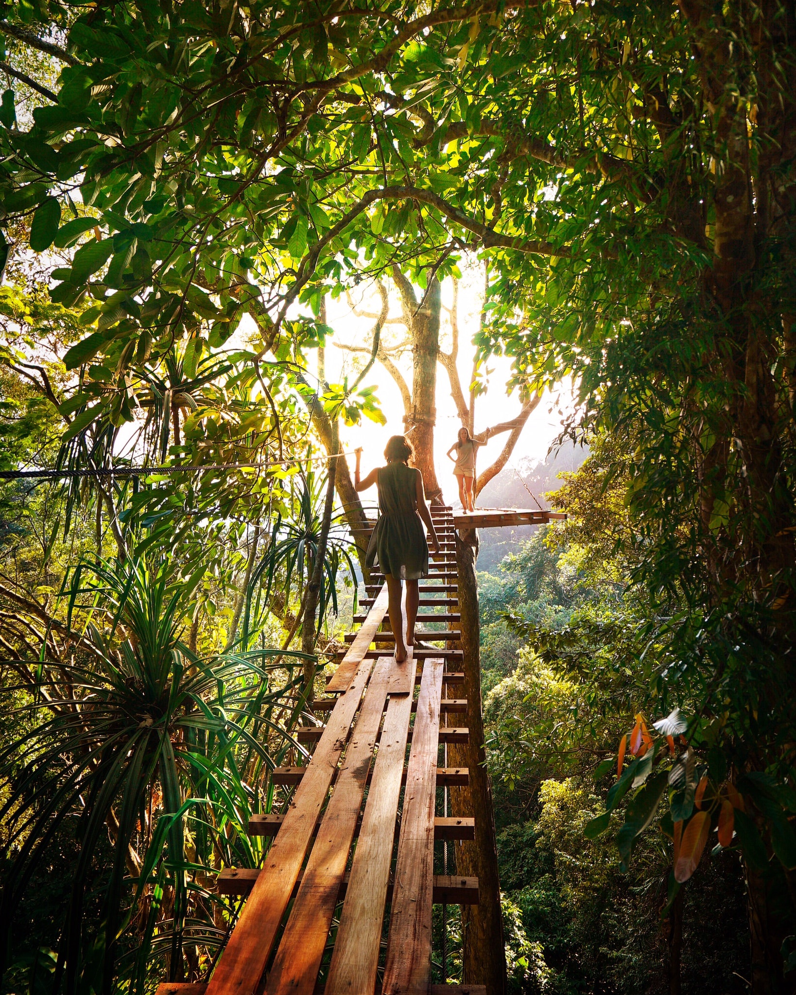 immersion en Amazonie